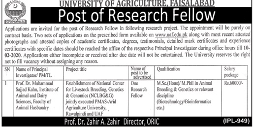 University Of Agriculture Faisalabad Jobs