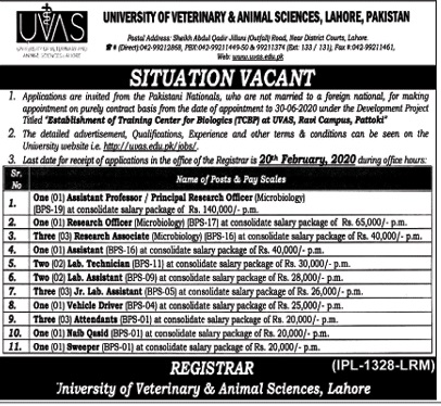 University OF Veterinary And Animal Sciences